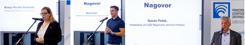 Vesna Nahtigal, izvršna direktorica GZS za industrijsko politiko