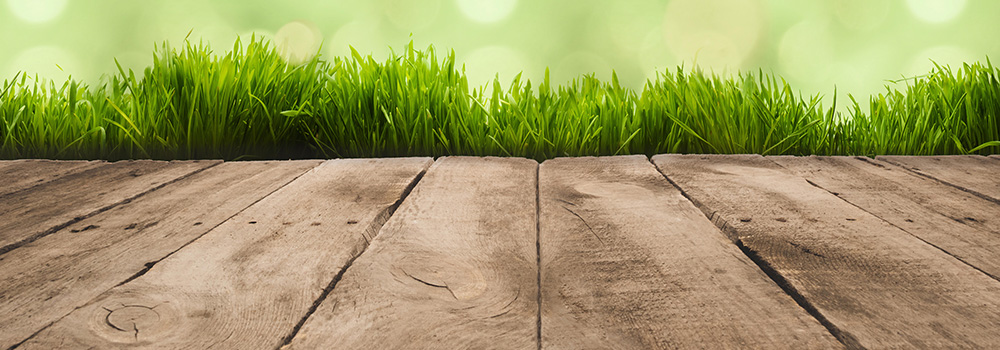 Strokovni posvet »Kako z uporabo lesa znižati emisije toplogrednih plinov«