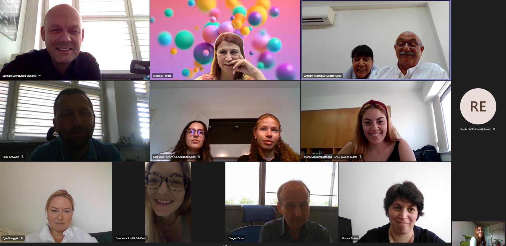 GREEN ROOFS - ZELENE STREHE