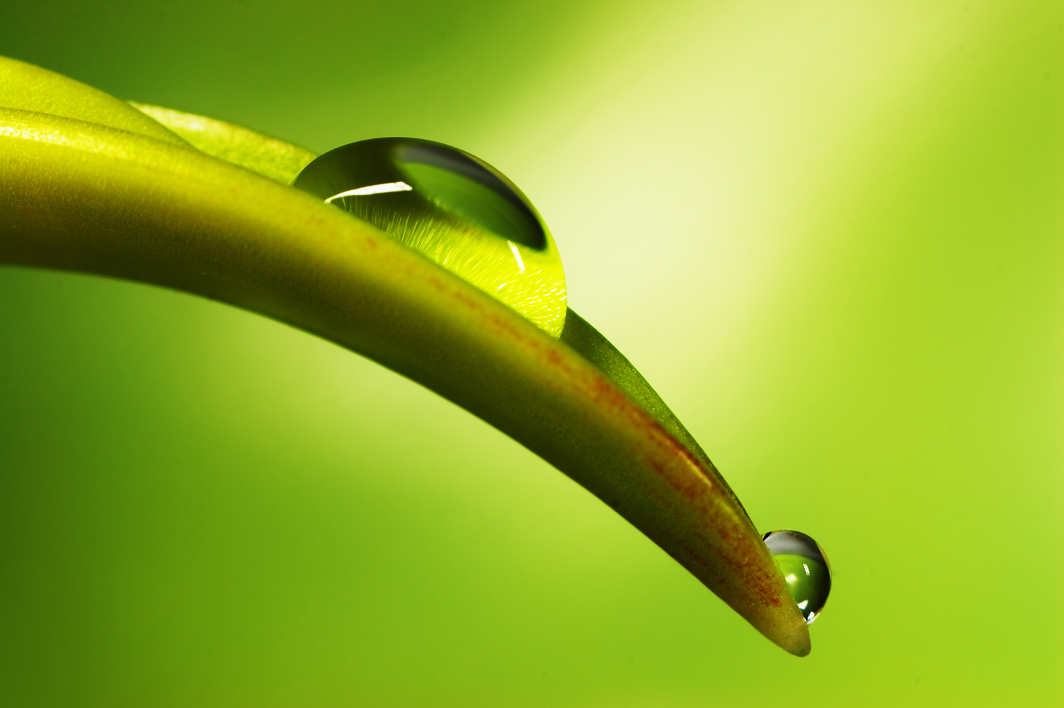 Veliki spomladanski živilski seminar "ZAKONODAJA IN TRENDI", 17. maj 2012
