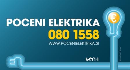 Pregled poslovanja gospodarskih družb Posavja v letu 2012